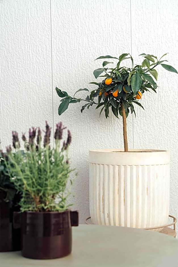 Clemonte Hotel - Your Reception-less Boutique Hideaway