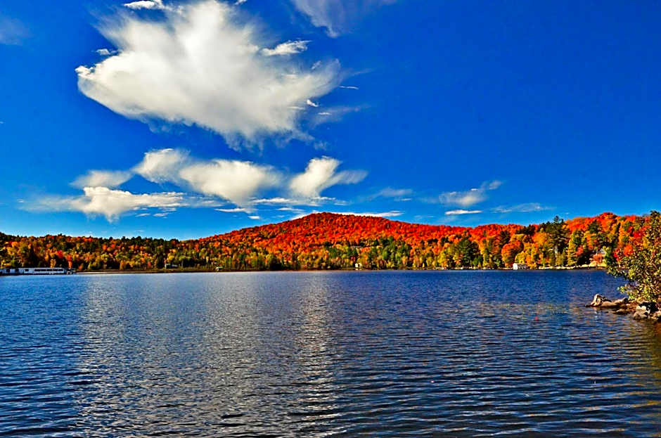 Best Western Saranac Lake
