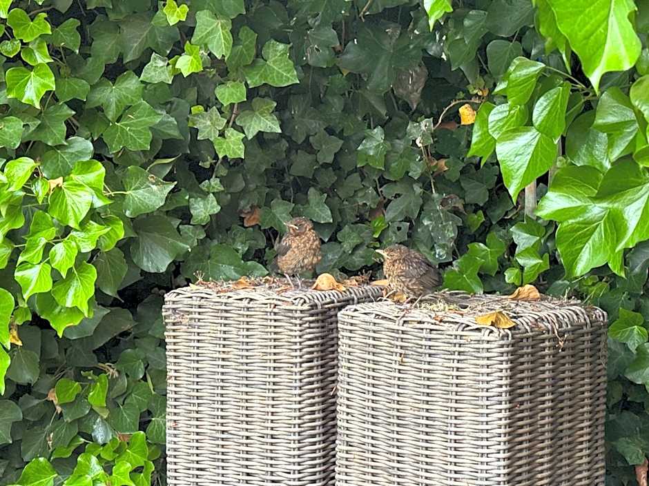 Bed & Breakfast Yerseke