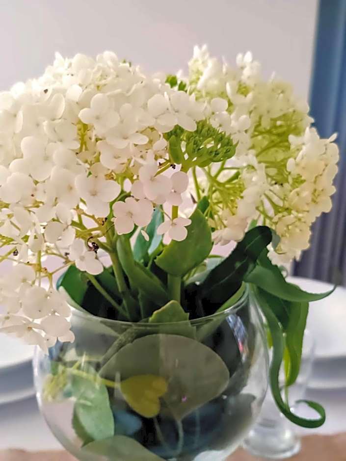 Noclegi nad Biebrzą Stara Szkoła