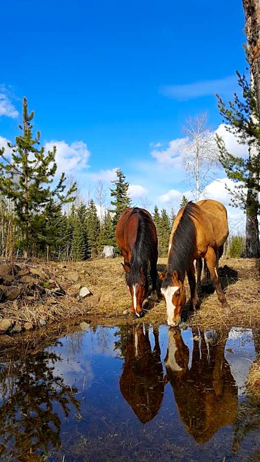 Wettstone Guest Ranch