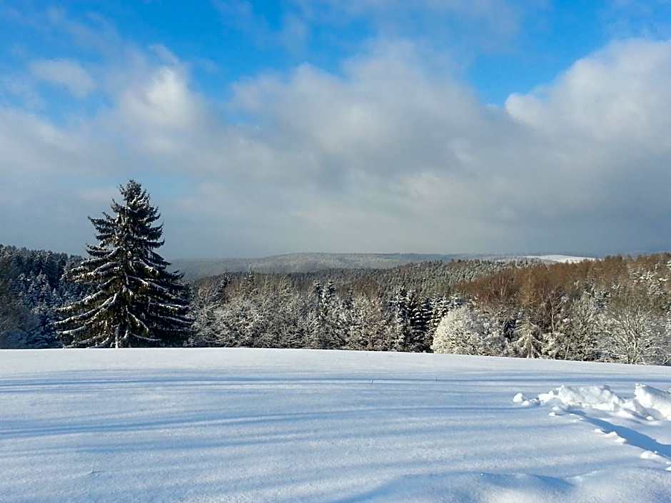 Aktiv & Vital Hotel Thueringen