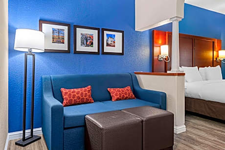 1 King Bed  Suite  No Smoking  Accessible Room