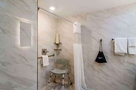 Accessible - 2 Queen Mobility Accessible Roll In Shower Non-Smoking