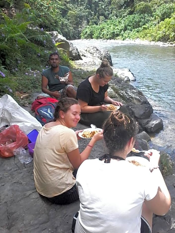 ORANGUTANTREKSUMATRA & LOVELY JUNGLE LODGE only book IF you are treking with us