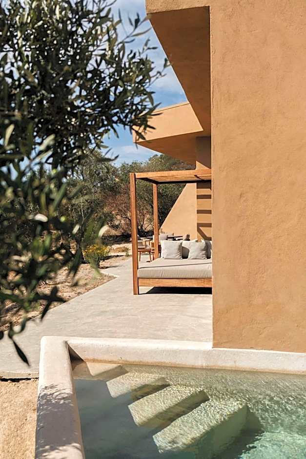 Banyan Tree Veya, Valle de Guadalupe