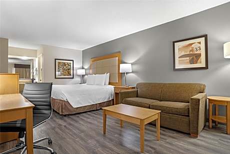 1 King Bed, Non-Smoking, Sofabed, Sitting Area, Microwave And Refrigerator, Wireless High-Speed Inte