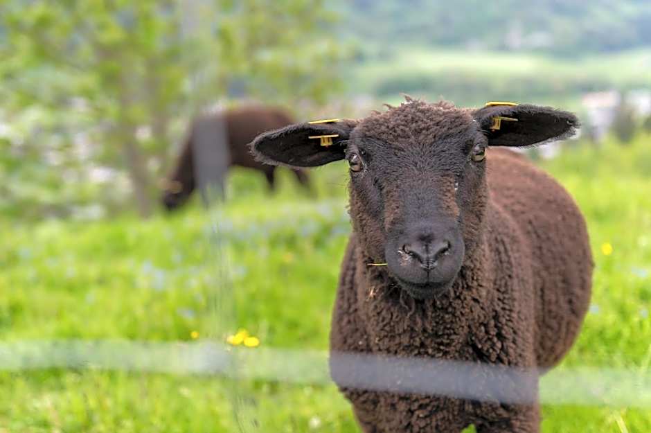 Panoramahotel Stocker