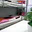 Center Hostel and Guest House