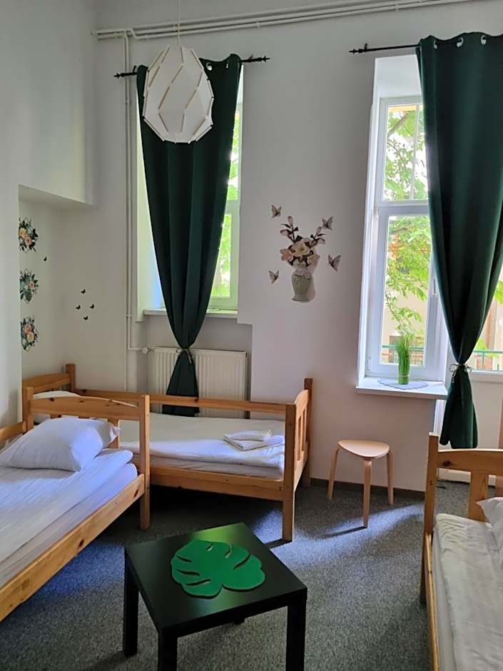 Green Cat Rooms