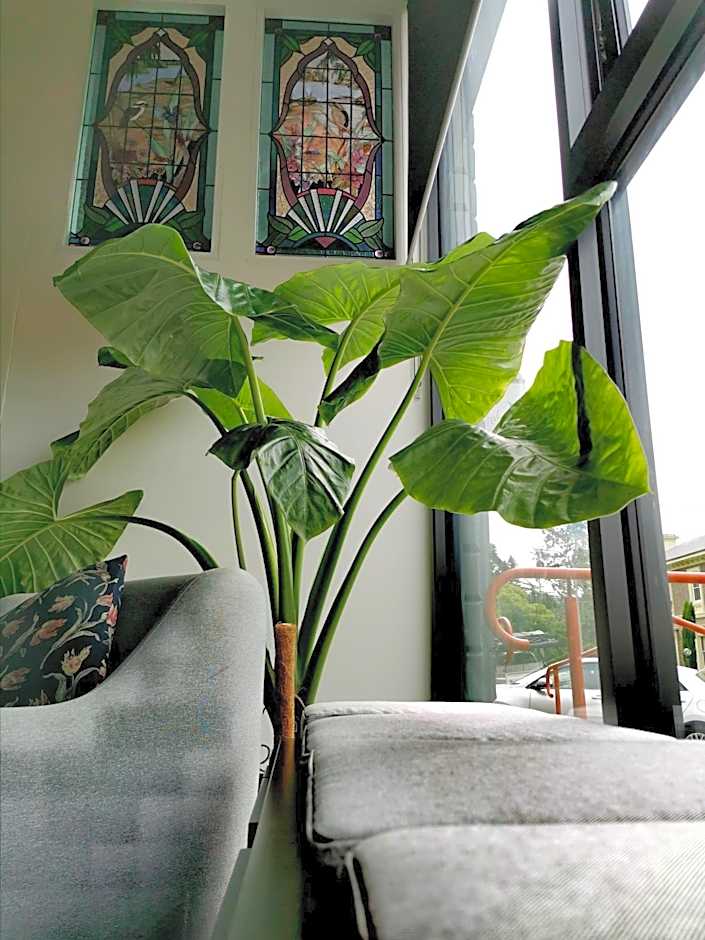 Refresh109 on Cameron