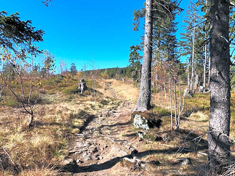 Wellnesshotel Riedlberg