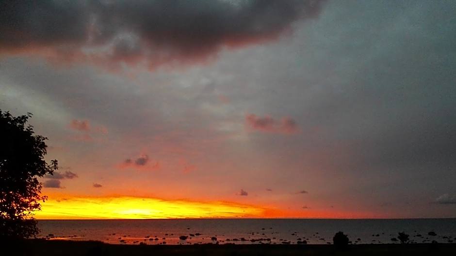 Ohessaare Windmill -Experience accommodation