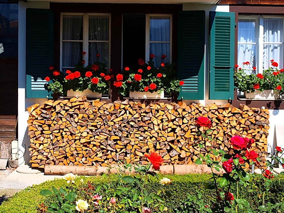 Hotel Chalet Swiss