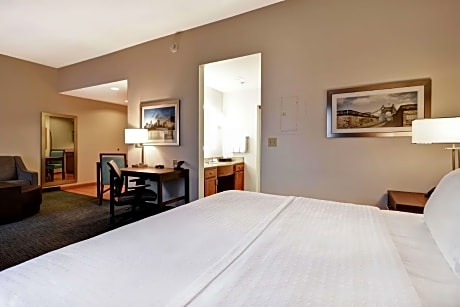 1 King Bed Studio Suite Nonsmoking