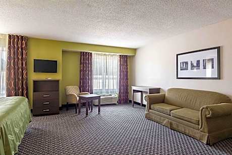 Efficiency 1 King Bed Non Smoking