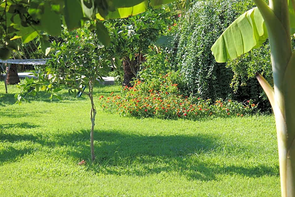 Cirali Armira Bungalow