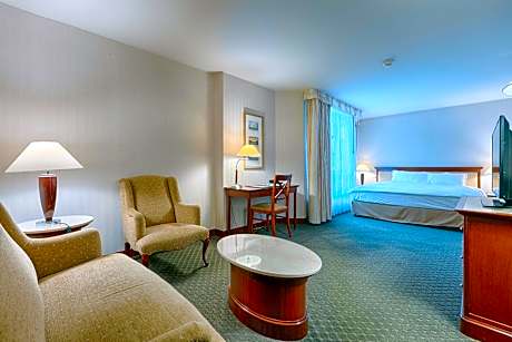 JUNIOR SUITE - 1 PERSON