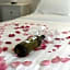 Bruskos Hotel & Suites