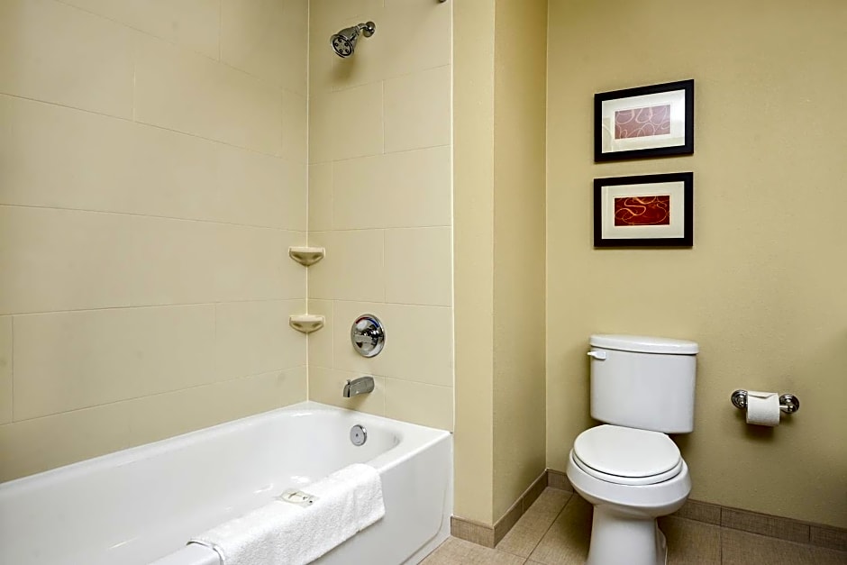 Comfort Suites Medical Center