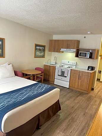 Superior Efficiency Suite with One Queen Bed - Non-Smoking