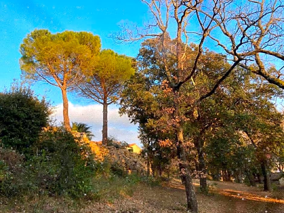 Les Horizons - SPA-JACUZZI - MASSAGE- SAUNA - 4 SAISONS - Piscine chauffée Toute l'année - 800m centre ville Nyons