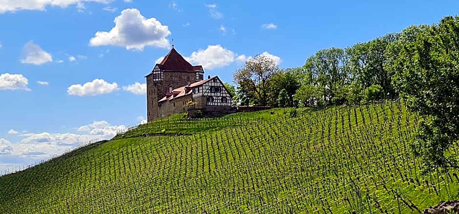 Sali Homes - GaesteHaus Lamm Obersulm