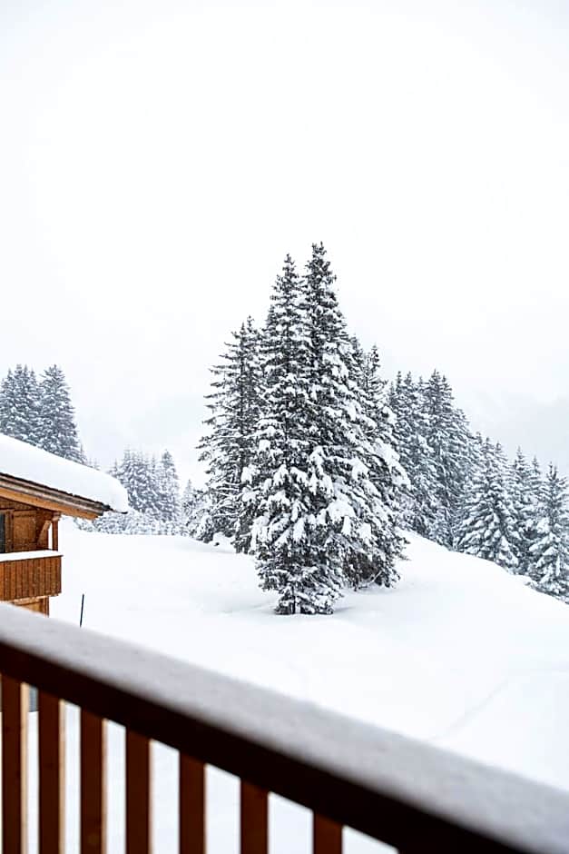 Hotel & Chalet Montana