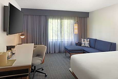 King Room with Sofa Bed