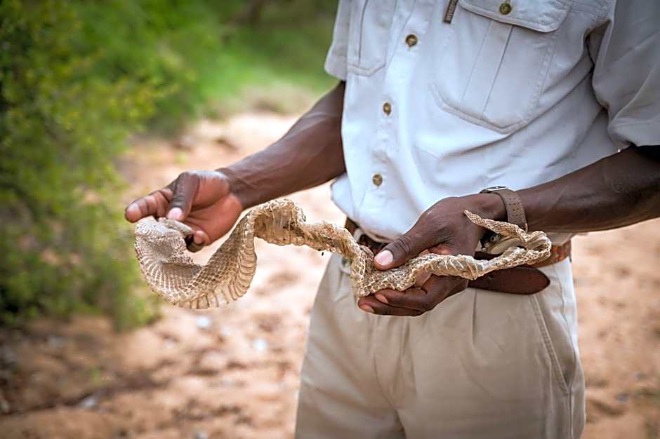 Kambaku Safari Lodge