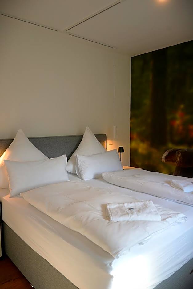 Altes Kelterhaus & Plein Hotel by Markus Plein
