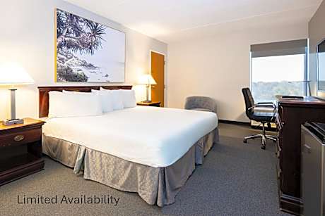 King Room - Non-Smoking