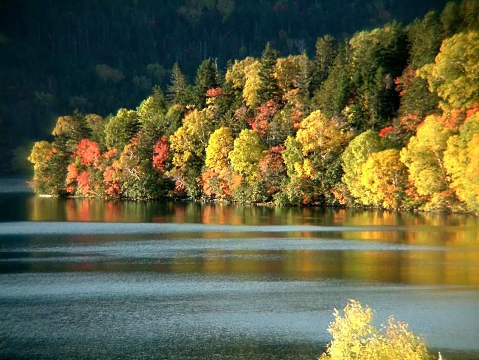 Shikaribetsu Kohan Onsen Hotel Fusui
