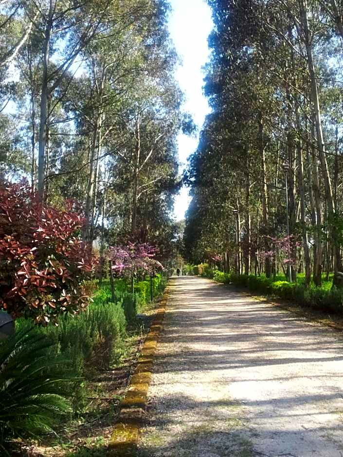 Il Nibbio Reale Country House