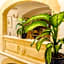 Casa Rocca Piccola B&B