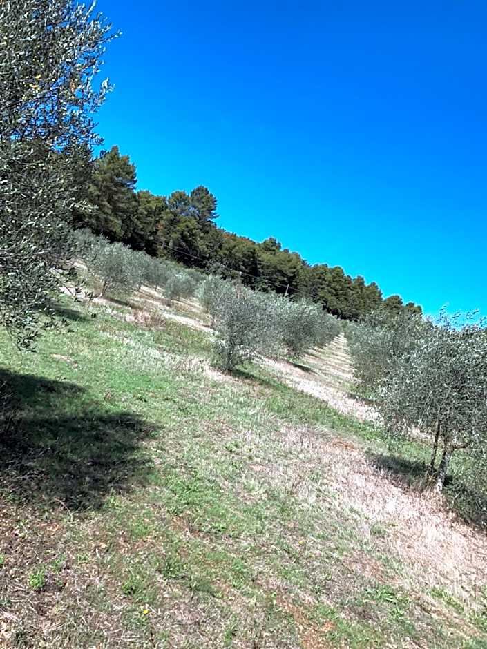 Azienda Agrituristica I Tre Casali