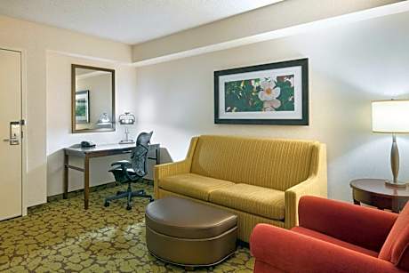 One-Bedroom King Suite with Sofa Bed