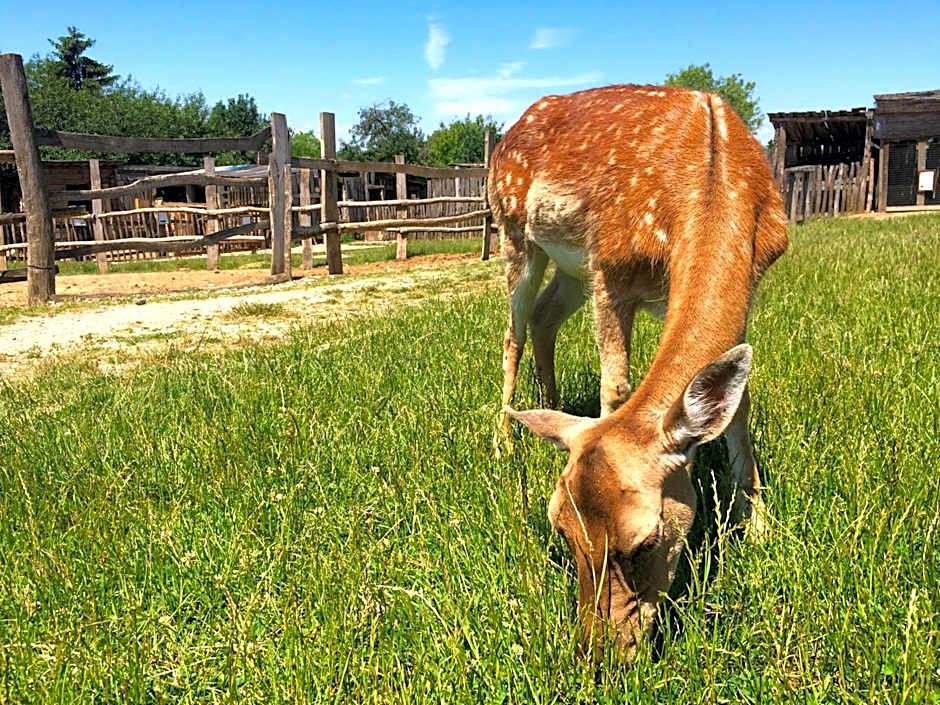 Puchner Kastélyszálló Prémium