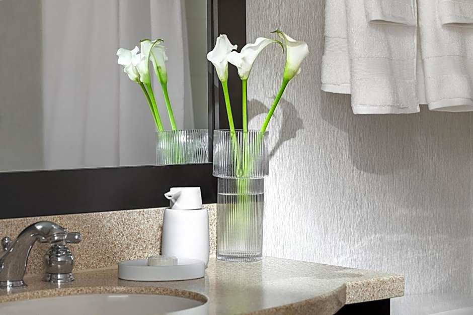 Chelsea Hotel Toronto