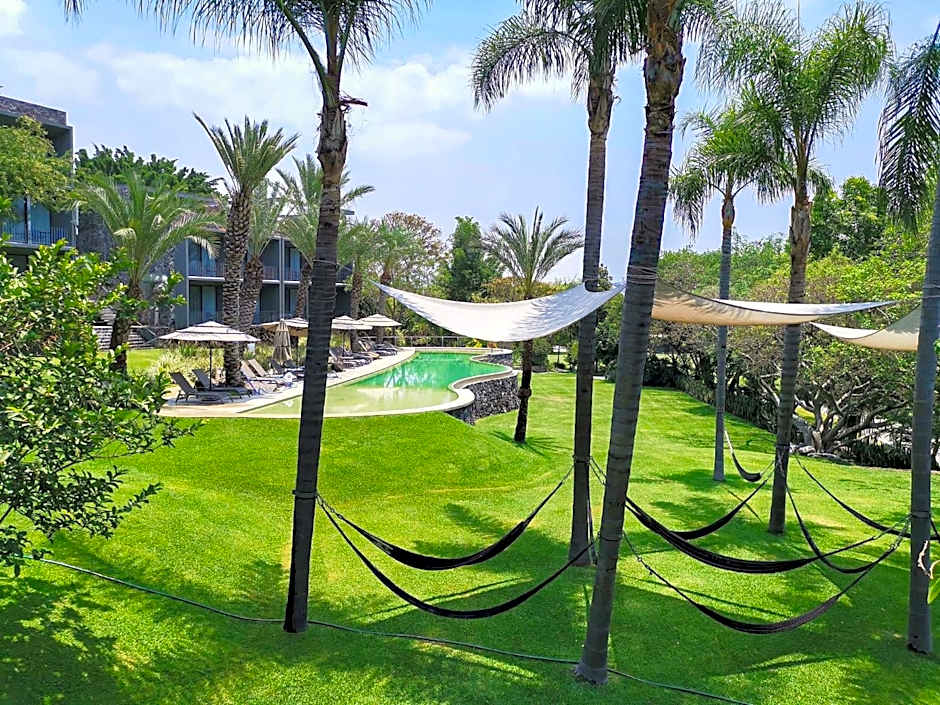 Huayacán Cuernavaca Curamoria Collection