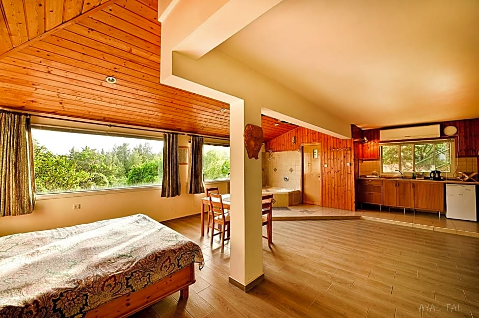 Bloom's Studio הסטודיו של בלום