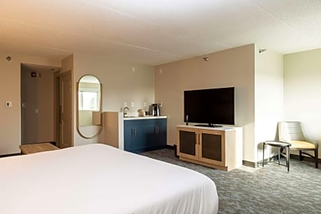 1 King Bed Junior Suite