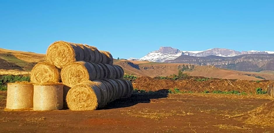 Bell Park Self or Semi Catering