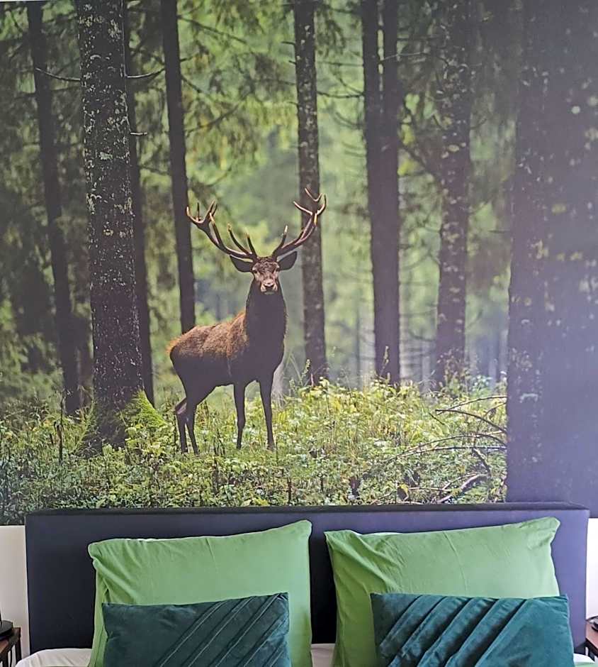 B&B Speulderveld