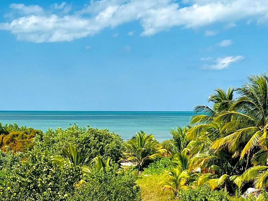 Atenea Holbox