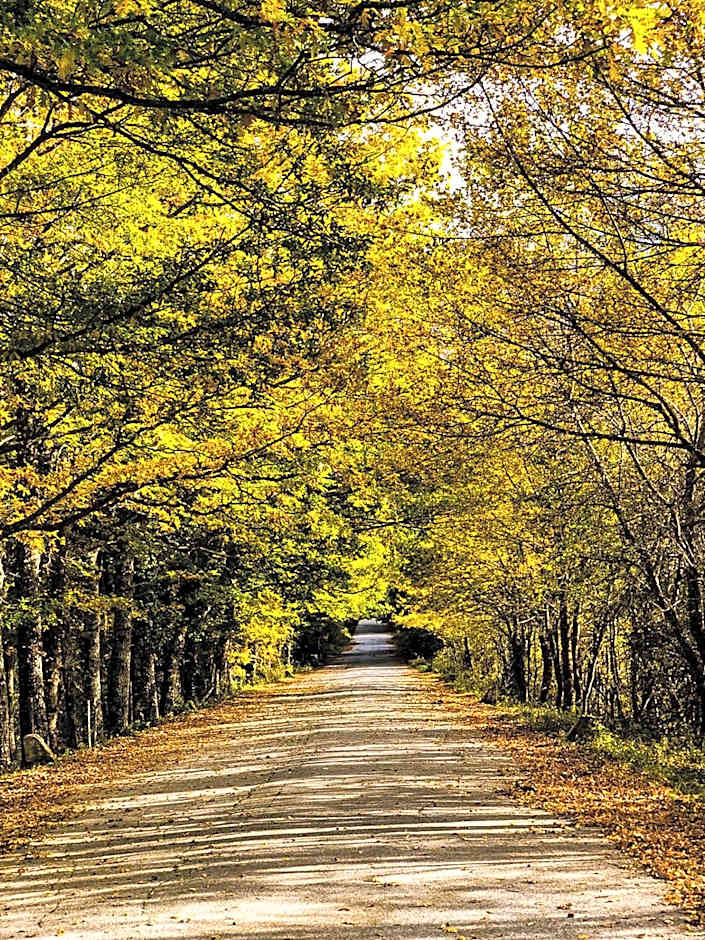 HOTEL HOLIDAYS a Barrea - Natura, Relax e Benessere nel Parco d'Abruzzo