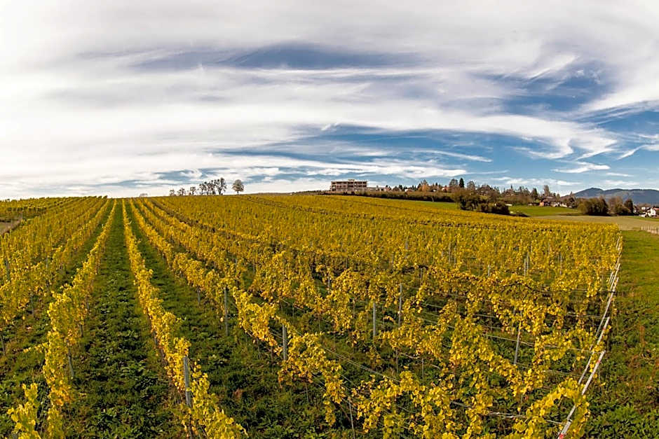 TrippelGUT - SchlafGUT