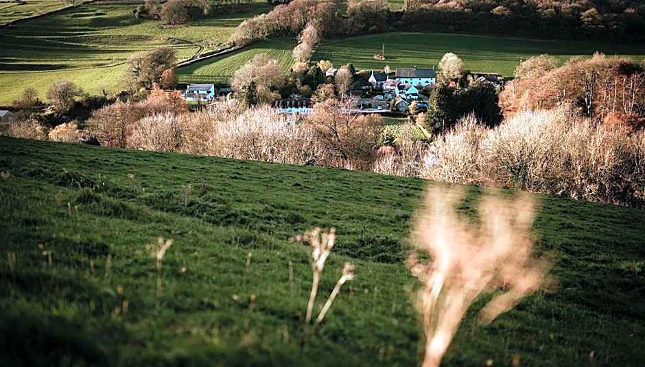 The Brace of Pheasants