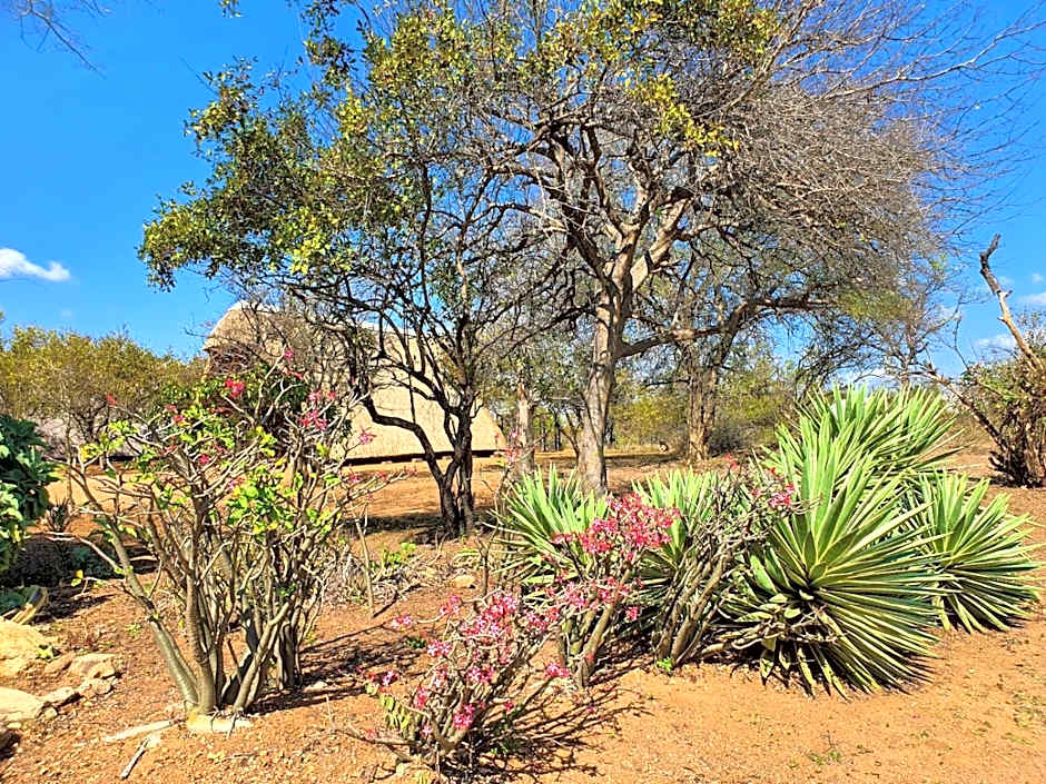 Masorini Bush Lodge & Safari Tents
