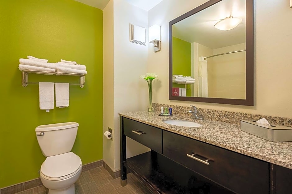Sleep Inn & Suites Harbour Pointe Midlothian